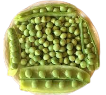 Petits pois – 400g