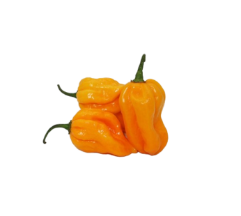 Piment Goana – 500g