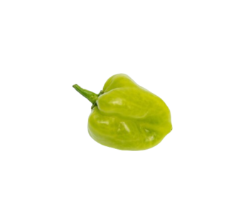 Piment Sofia – 500g